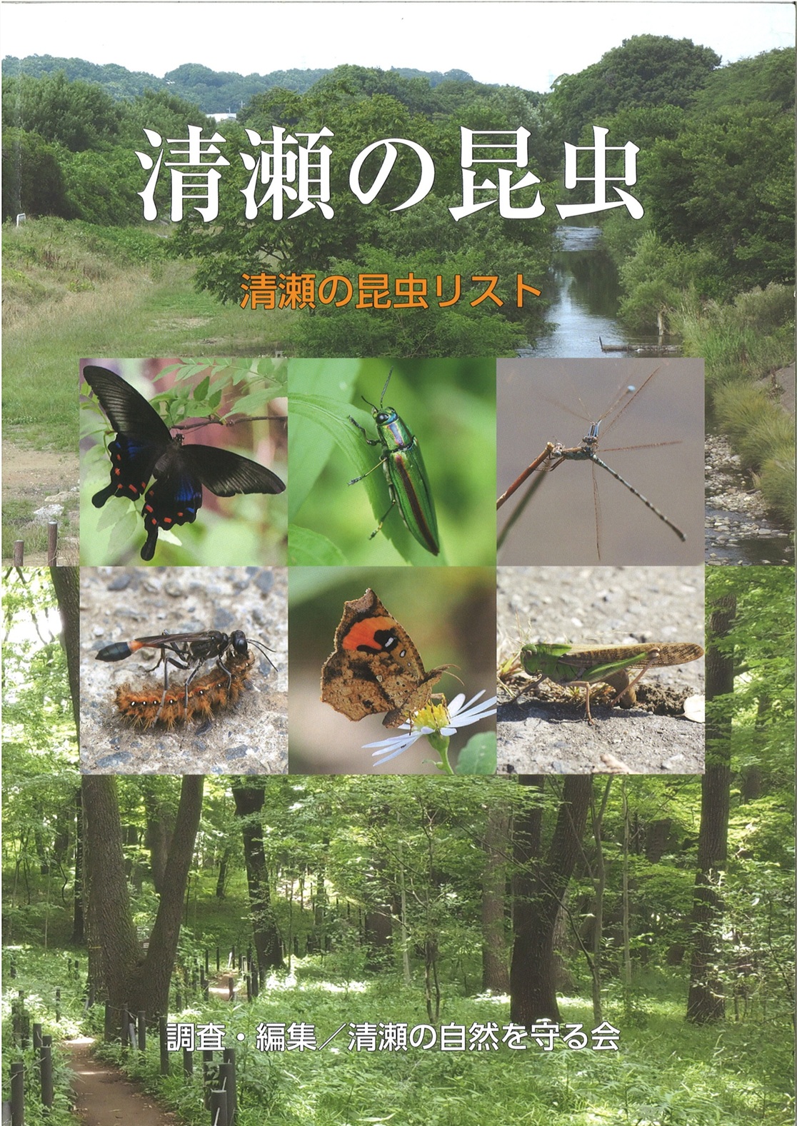 清瀬の昆虫　清瀬の昆虫リスト